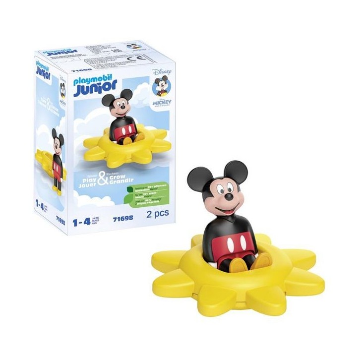71698 - Mickey et toupie