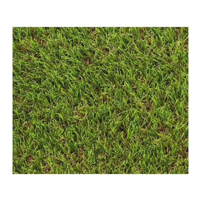 Gazon - EXELGREEN - 124414 - Natura 2D - 38mm / 1 x 5 m Gazon - EXELGREEN - 124414 - Natura 2D - 38mm / 1 x 5 m