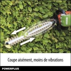 Dual Power Taille-Haie Batterie POWDPG7531 - 20 V, sans Batterie ni Ch