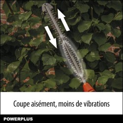 Powerplus Dual Power Taille-Haie Batterie POWDPG75380 - 40 V, sans Bat
