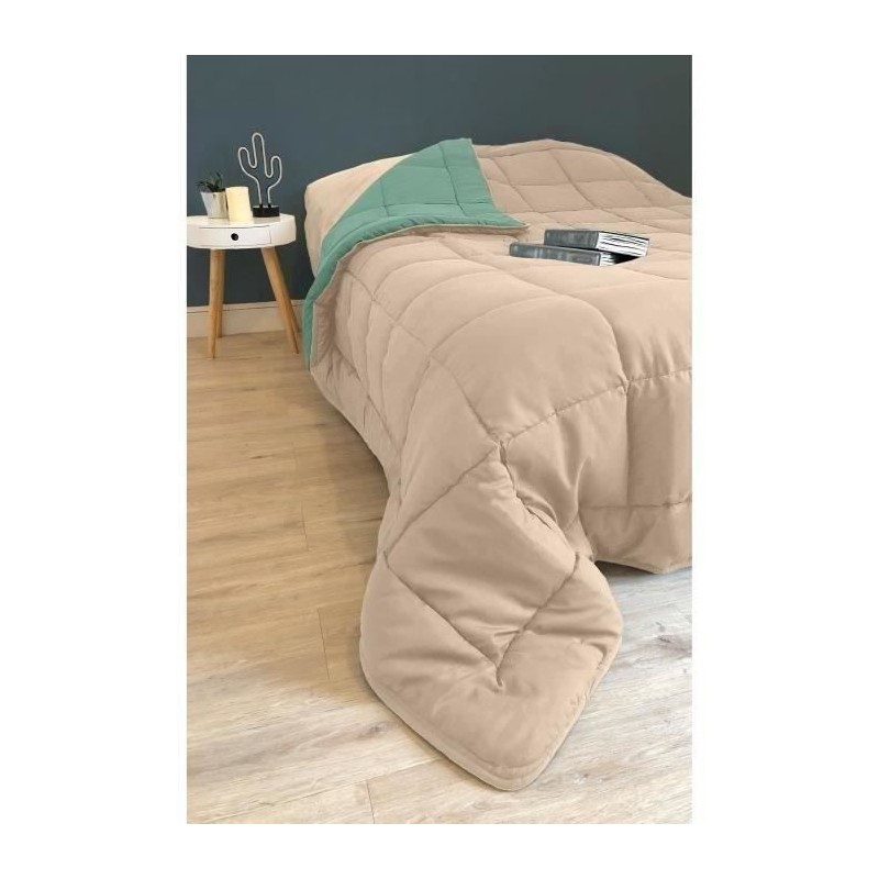 CALGARY Couette chaude Microfibre 400g/m² Beige Galet & Vert Lac 240x CALGARY Couette chaude Microfibre 400g/m² Beige Galet & Vert Lac 240x