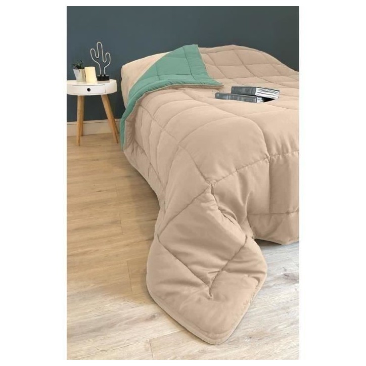 CALGARY Couette chaude Microfibre 400g/m² Beige Galet & Vert Lac 240x260cm CALGARY Couette chaude Microfibre 400g/m² Beige Galet & Vert Lac 240x260cm