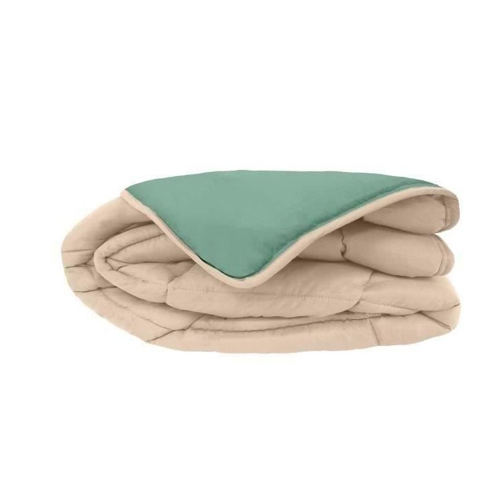 CALGARY Couette chaude Microfibre 400g/m² Beige Galet & Vert Lac 240x260cm CALGARY Couette chaude Microfibre 400g/m² Beige Galet & Vert Lac 240x260cm