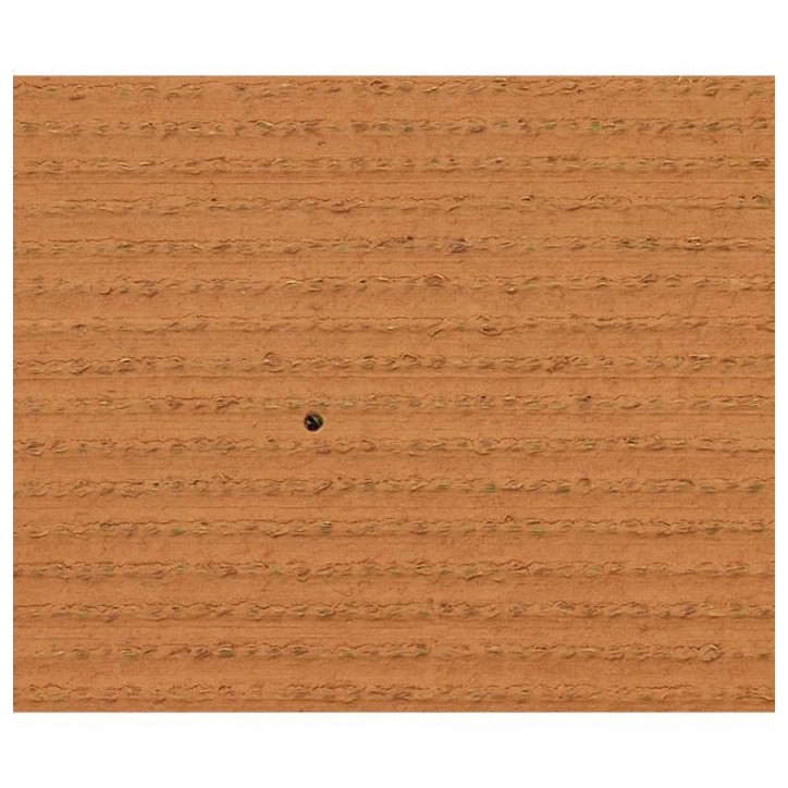 Gazon - EXELGREEN - 124414 - Natura 2D - 38mm / 1 x 5 m Gazon - EXELGREEN - 124414 - Natura 2D - 38mm / 1 x 5 m