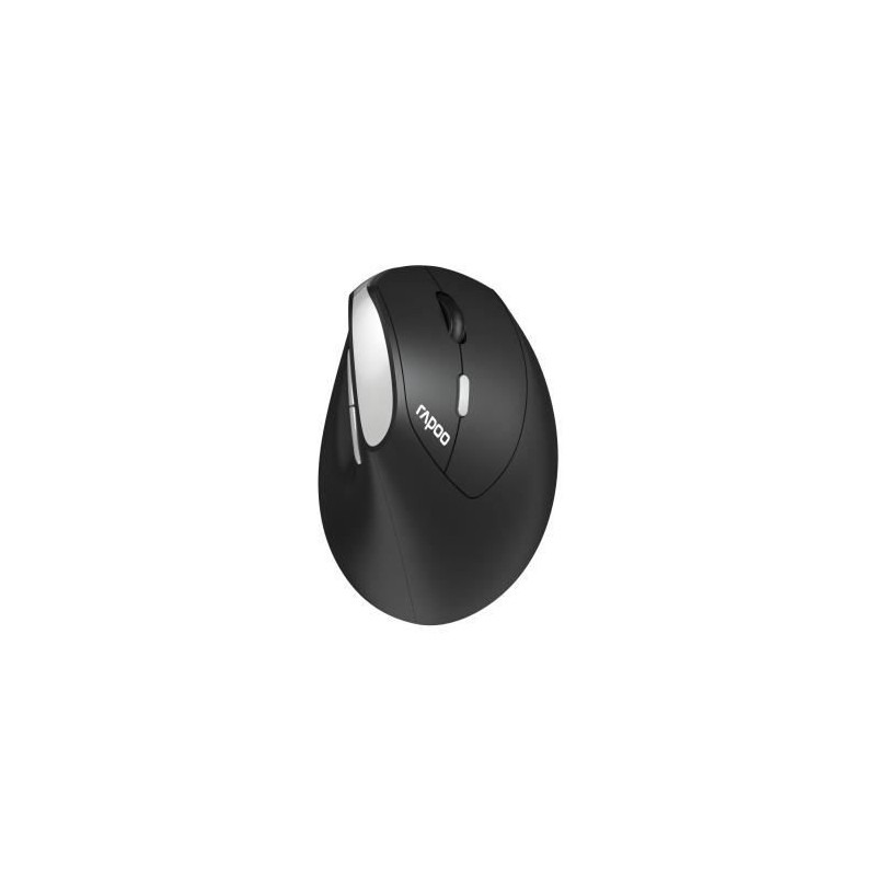 Souris sans fil - RAPOO - EV250 - Ergonomique - 1600 DPI - Clic silenc