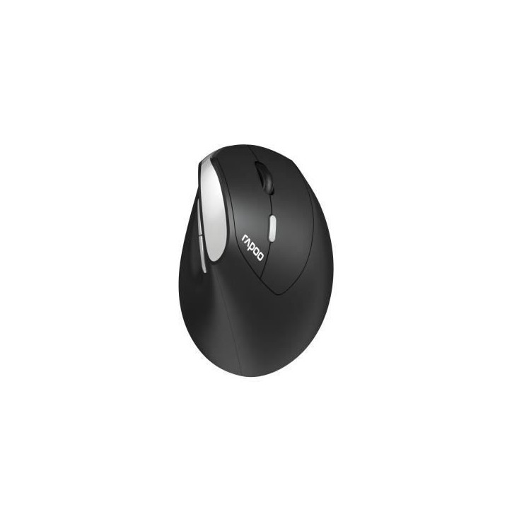 Souris sans fil - RAPOO - EV250 - Ergonomique - 1600 DPI - Clic silencieux Souris sans fil - RAPOO - EV250 - Ergonomique - 1600 DPI - Clic silencieux
