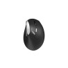 Souris sans fil - RAPOO - EV250 - Ergonomique - 1600 DPI - Clic silenc