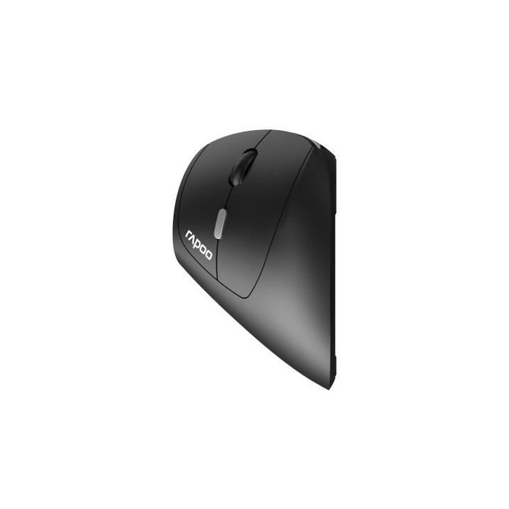 Souris sans fil - RAPOO - EV250 - Ergonomique - 1600 DPI - Clic silencieux Souris sans fil - RAPOO - EV250 - Ergonomique - 1600 DPI - Clic silencieux