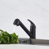 Mitigeur évier de cuisine - Noir mat - Bec orientable - Cartouche cé
