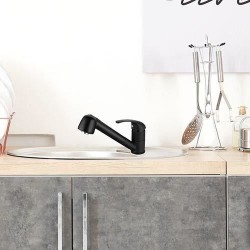 Mitigeur évier de cuisine - Noir mat - Bec orientable - Cartouche cé