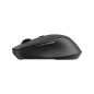 Souris sans fil - RAPOO - M300 Silent - 1600 DPI - Bluetooth - Noir