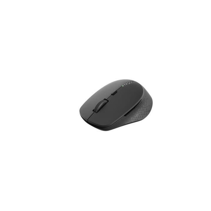 Souris sans fil - RAPOO - M300 Silent - 1600 DPI - Bluetooth - Noir