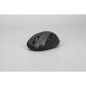 Souris - Sans fil - Rapoo - M500 Silent - Noir