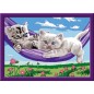 CreArt Kids 18x24cm Chatons dans le hamac, Kit de peinture par numéros Numéro d'Art, Des 9 ans, 25828, Ravensburger