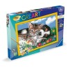 CreArt Kids 31x21cm Une belle amitié