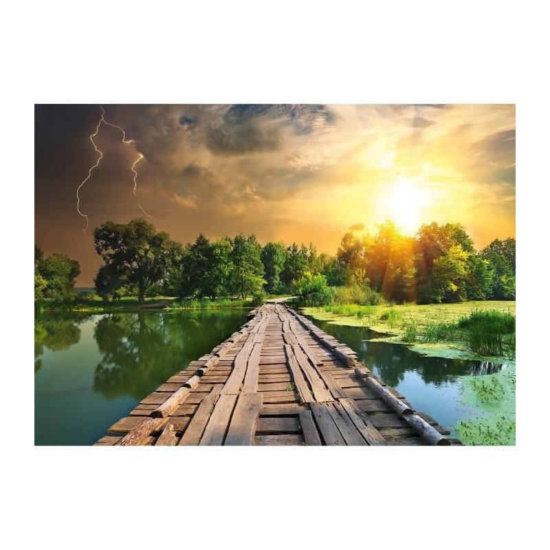 Puzzle 1000 pieces Lumiere mystique, Adultes et enfants, Des 14 ans, P Puzzle 1000 pieces Lumiere mystique, Adultes et enfants, Des 14 ans, P