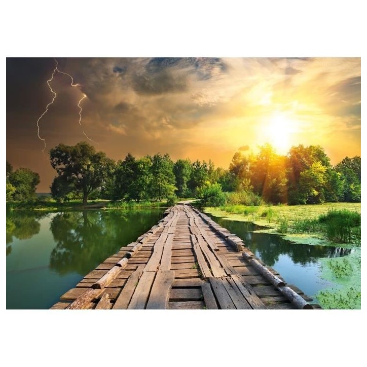 Puzzle 1000 pieces Lumiere mystique, Adultes et enfants, Des 14 ans, Puzzle de qualité supérieure, 12000305, Ravensburger Puzzle 1000 pieces Lumiere mystique, Adultes et enfants, Des 14 ans, Puzzle de qualité supérieure, 12000305, Ravensburger