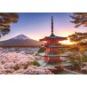Puzzle 1000 pieces Cerisiers en fleurs du Mont Fuji, Adultes et enfant
