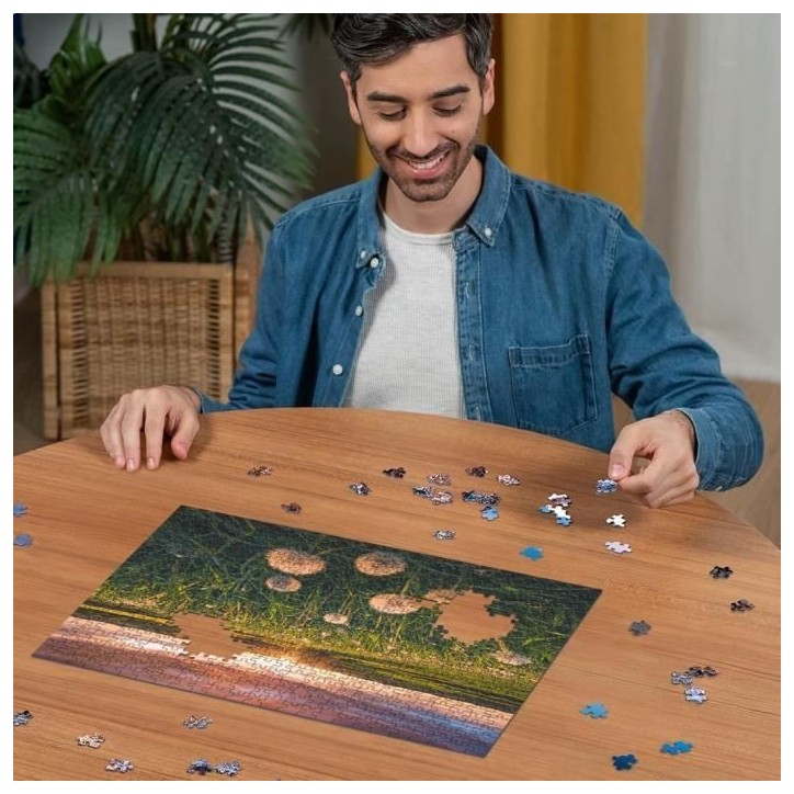 Puzzle 500 pieces Pissenlits au crépuscule, Des 12 ans, Puzzle de qualité supérieure, 12000592, Ravensburger Puzzle 500 pieces Pissenlits au crépuscule, Des 12 ans, Puzzle de qualité supérieure, 12000592, Ravensburger