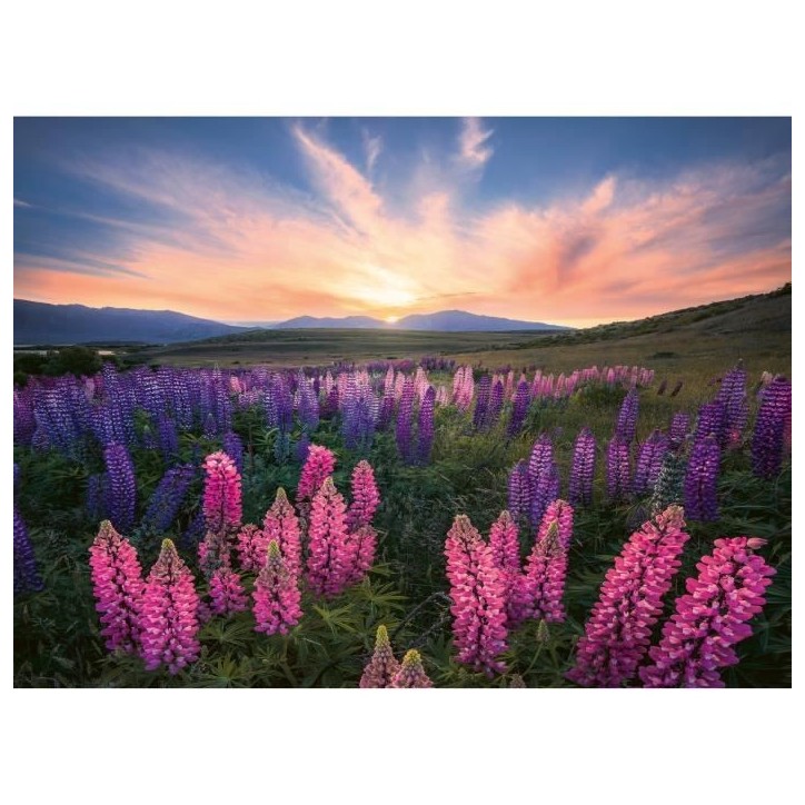 Puzzle 500 pieces Les lupins (Nature edition), Des 12 ans , Puzzle de qualité supérieure, 12000688, Ravensburger Puzzle 500 pieces Les lupins (Nature edition), Des 12 ans , Puzzle de qualité supérieure, 12000688, Ravensburger