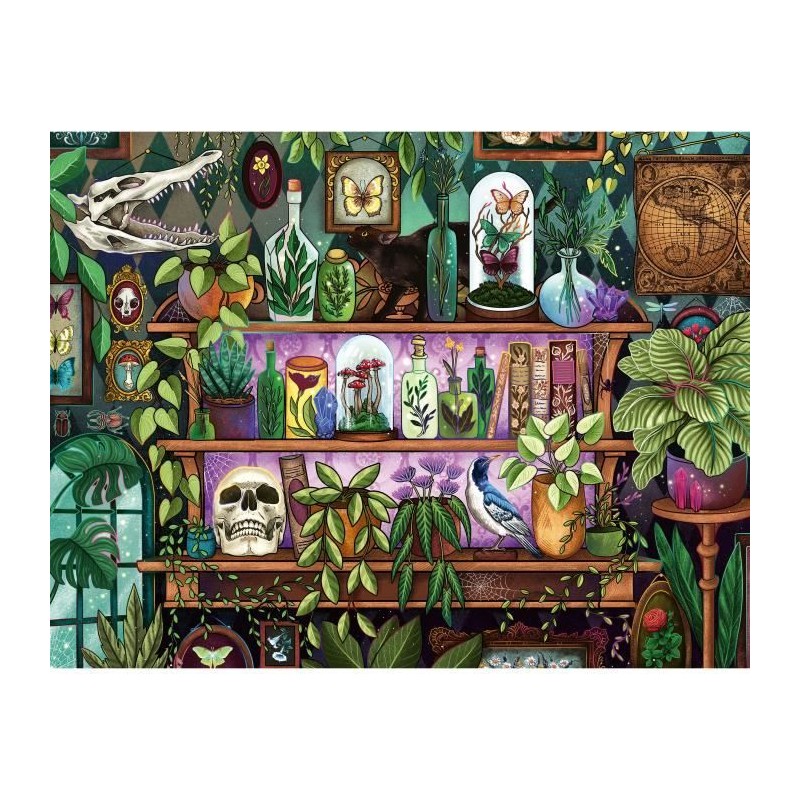 Puzzle 2000 pieces, Des 14 ans, Bibelots et objets de sorciere, Puzzle Puzzle 2000 pieces, Des 14 ans, Bibelots et objets de sorciere, Puzzle