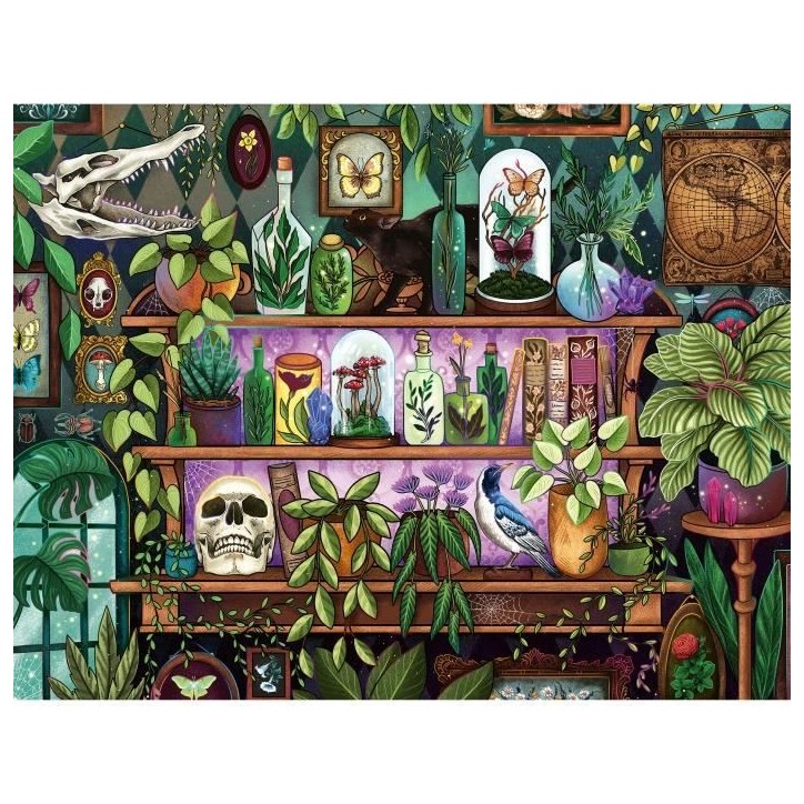 Puzzle 2000 pieces, Des 14 ans, Bibelots et objets de sorciere, Puzzle de qualité premium fabriqué en Europe, Plantes, 1200141 Puzzle 2000 pieces, Des 14 ans, Bibelots et objets de sorciere, Puzzle de qualité premium fabriqué en Europe, Plantes, 1200141