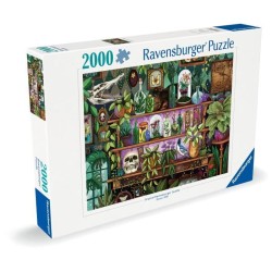 Puzzle 2000 pieces, Des 14 ans, Bibelots et objets de sorciere, Puzzle