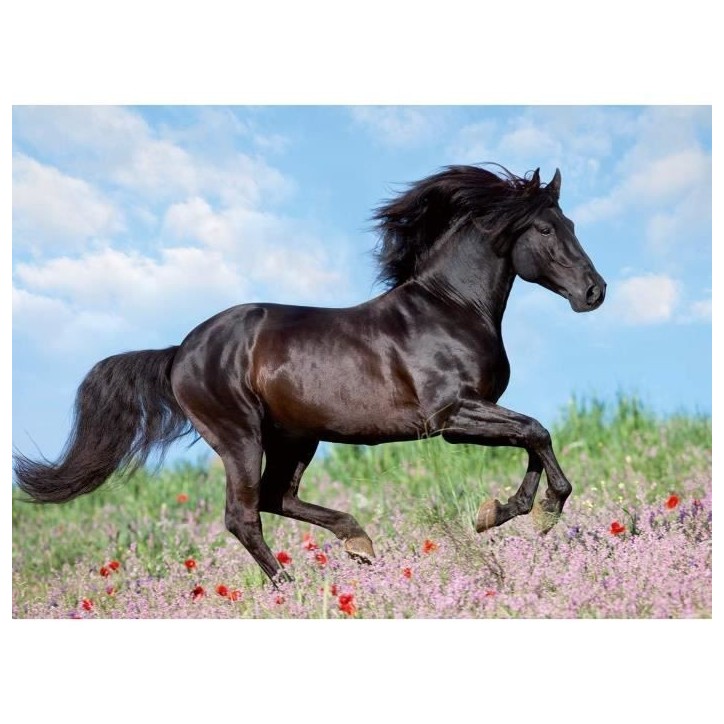Puzzle 200 pieces XXL Etalon noir - Ravensburger - Paysage et nature - Des 8 ans