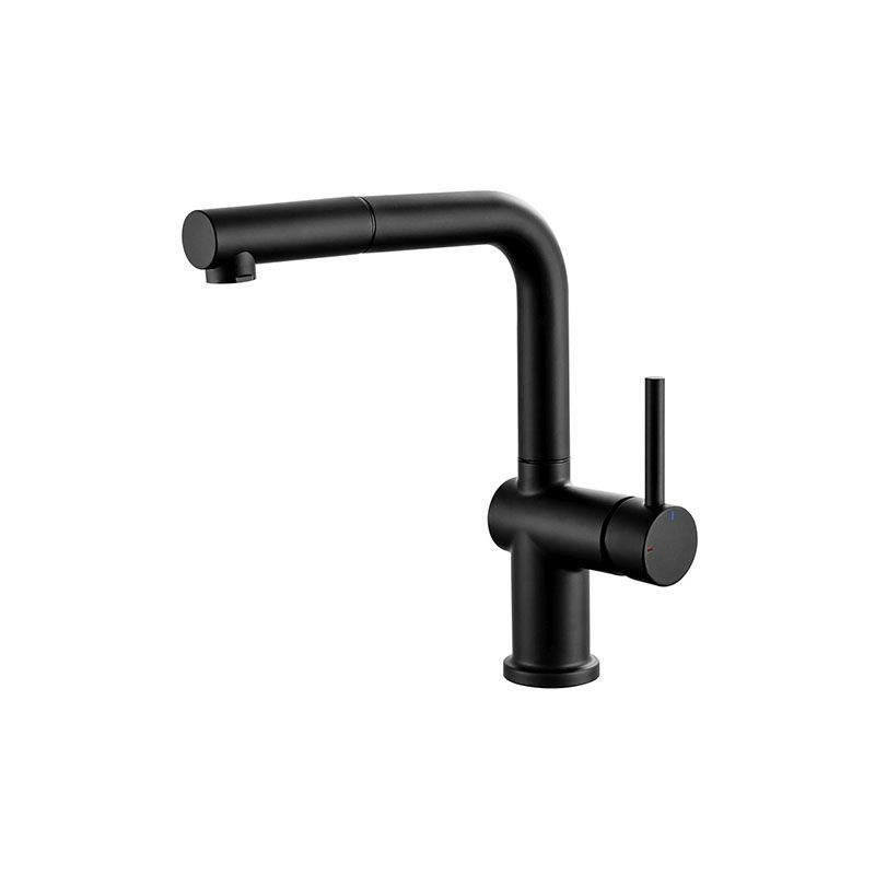 Mitigeur évier - Noir mat - Bec orientable - EDOUARD ROUSSEAU - CARR Mitigeur évier - Noir mat - Bec orientable - EDOUARD ROUSSEAU - CARR
