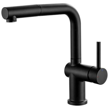 Mitigeur évier - Noir mat - Bec orientable - EDOUARD ROUSSEAU - CARR