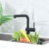 Mitigeur évier - Noir mat - Bec orientable - EDOUARD ROUSSEAU - CARR