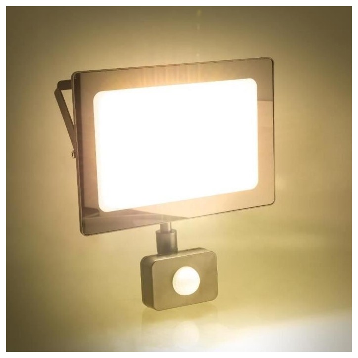Projecteur LED avec détecteur de mouvement - RETLUX - RSL 247