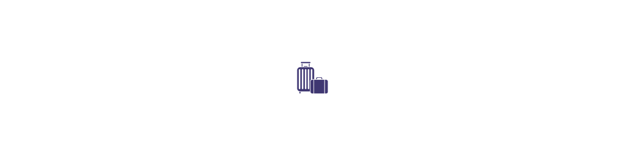 SAC DE VOYAGE