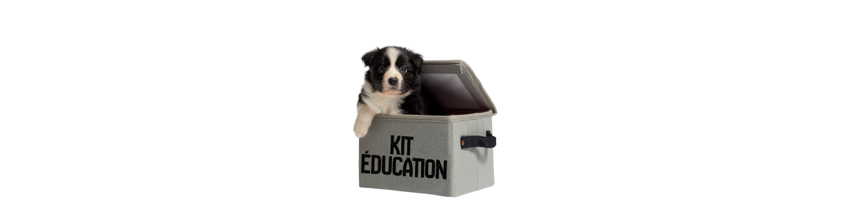 KIT EDUCATION ACTIVITE