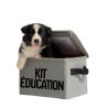 KIT EDUCATION ACTIVITE